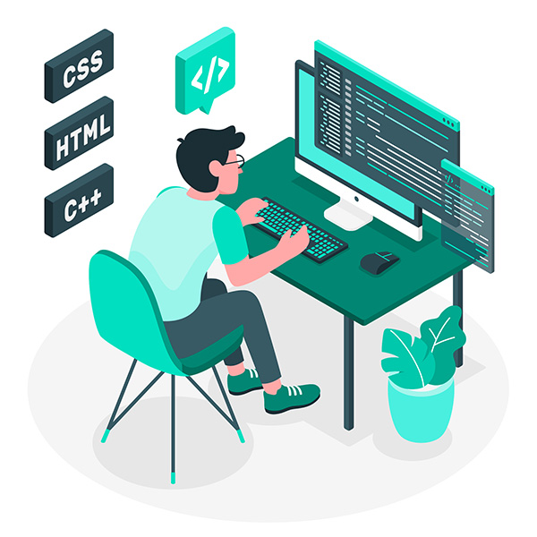 Developer at Desk