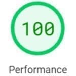 Page Speed Insights Perfect 100