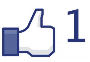 Facebook Like