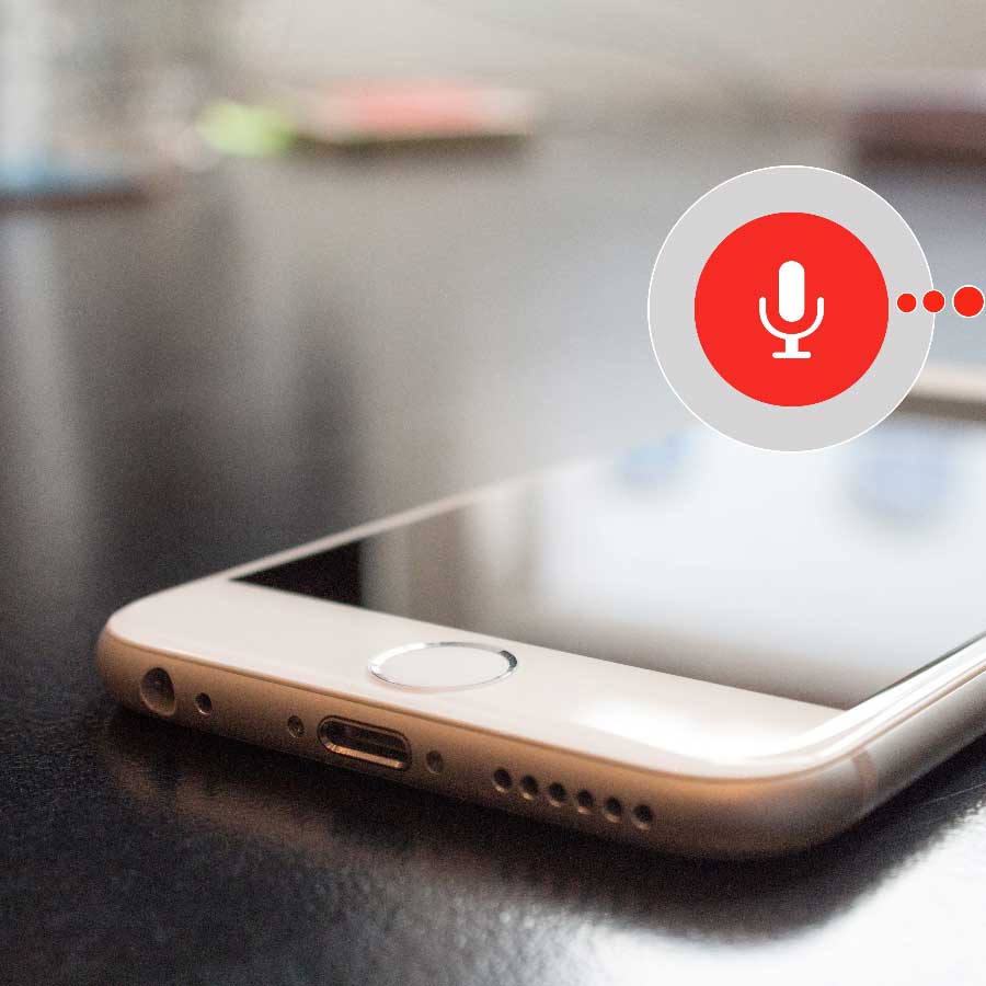 Google-Search-Voice-Phone